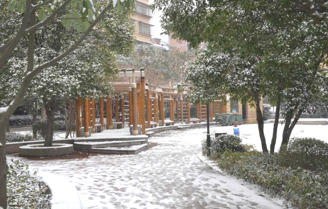 初雪逢周末，多个项目及时展开清理工作