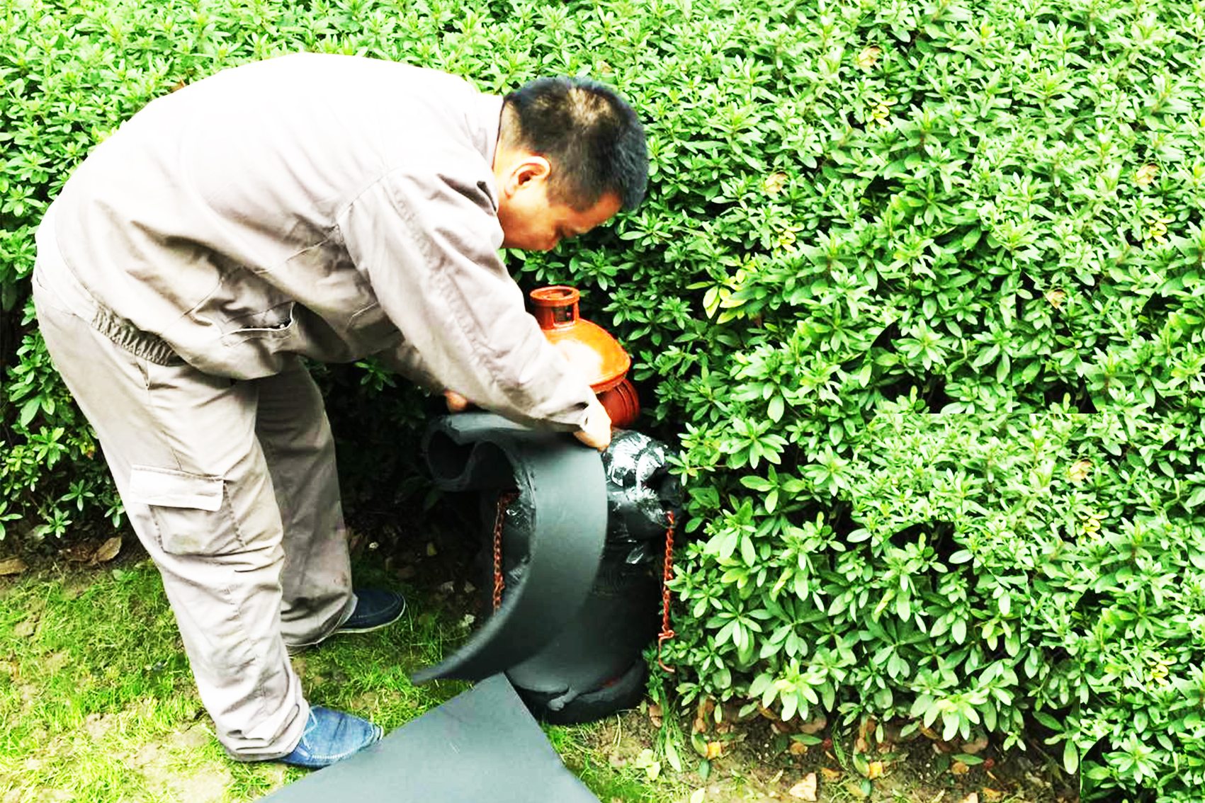 大寒将至，抗寒指南请您收好